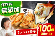 【選べる種類・容量】人気ラーメン店の本気の「てっぺい餃子」100個入り(小分け包装)【保存料無添加】【メディアでも話題:石田てっぺいラーメン店】 国産豚肉 餃子 ぎょうざ 冷凍 惣菜 おかず おつまみ 大容量 餃子 冷凍餃子 ぎょうざ 肉餃子 惣菜 おかず おつまみ 大容量 業務用 簡単 大阪府高槻市/無人屋 [AOCX006] 