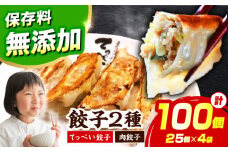 【選べる種類・容量】人気ラーメン店の本気の「てっぺい餃子/肉餃子」100個入り(25個×4パック)【保存料無添加】【メディアでも話題:石田てっぺいラーメン店】 国産豚肉 餃子 ぎょうざ 冷凍 惣菜 おかず おつまみ 大容量 餃子 冷凍餃子 ぎょうざ 肉餃子 惣菜 おかず おつまみ 大容量 業務用 簡単 大阪府高槻市/無人屋 [AOCX004]