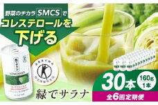【定期便6回】サンスター 緑でサラナ 30本セット 160g 野菜ジュース 青汁 サラナ 缶 ケース まとめ買い 健康 特定保健用食品 トクホ コレステロール 保存料不使用 無添加 国産 長期保存 常温 防災 ギフト 定期便 大阪府高槻市/サンスター[AOAD007]