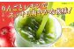 健康 美容 飲料 ドリンク 野菜 果物 フルーツ 野菜ジュース 青汁 長期保管 備蓄 大容量 まとめ買い サンスター 飲みやすい