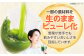 健康 美容 飲料 ドリンク 野菜 果物 フルーツ 野菜ジュース 青汁 長期保管 備蓄 大容量 まとめ買い サンスター 飲みやすい