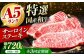 サーロインステーキ ステーキ肉 国産 和牛 A5ランク ギフト 霜降り