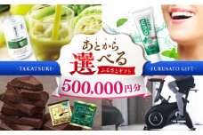 【あとから選べる】高槻市ふるさとギフト 50万円分 チョコ はみがき ダイエット 筋トレ 野菜 ハミガキ 肉 ギフト カタログ あとからセレクト グルメ 食品 お取り寄せ おつまみ 詰め合わせ [AOZZ010]