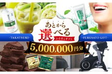【あとから選べる】高槻市ふるさとギフト 500万円分 チョコ はみがき ダイエット 筋トレ 野菜 ハミガキ 肉 ギフト カタログ あとからセレクト グルメ 食品 お取り寄せ おつまみ 詰め合わせ [AOZZ015]