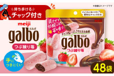 明治 ガルボつぶ練り苺パウチ 58g×48袋セット お菓子 おやつ チョコレート ガルボ チョコ ガルボチョコ ガルボチョコレート パウチ 大容量 小分け ミニ ストロベリー 苺 いちご イチゴ 人気 定番 明治 大阪府高槻市/株式会社 丸正高木商店[AOAA029]