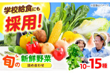【数量限定】厳選！旬を味わう高槻野菜おまかせ詰め合わせセット（10種～15種）　大阪府高槻市/高槻あぐり [AOCS006] 新鮮 野菜 やさい 産地直送 産直 旬 人気 お取り寄せ 野菜詰め合わせ 野菜セット