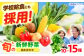 【数量限定】厳選！旬を味わう高槻野菜おまかせ詰め合わせセット（10種～15種）