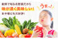 【数量限定】厳選！旬を味わう高槻野菜おまかせ詰め合わせセット（10種～15種）