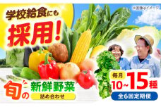 【全6回】【数量限定】厳選！旬を味わう高槻野菜おまかせ詰め合わせ定期便（10種～15種）　大阪府高槻市/高槻あぐり [AOCS020] 新鮮 野菜 やさい 産地直送 産直 旬 人気 お取り寄せ 野菜詰め合わせ 野菜セット