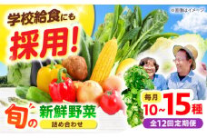 【全12回】【数量限定】厳選！旬を味わう高槻野菜おまかせ詰め合わせ定期便（10種～15種）　大阪府高槻市/高槻あぐり [AOCS021] 新鮮 野菜 やさい 産地直送 産直 旬 人気 お取り寄せ 野菜詰め合わせ 野菜セット