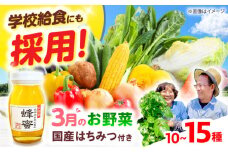 【数量限定】厳選！旬を味わう高槻野菜詰め合わせ 3月（10～15種）＆はちみつ セット　大阪府高槻市/高槻あぐり [AOCS022] 新鮮 野菜 やさい 産地直送 産直 旬 人気 お取り寄せ 野菜詰め合わせ 野菜セット