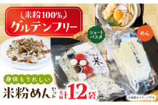 高槻産 米粉 100％ 米粉めんセット 食品 米粉 お米 グルテンフリー 小麦粉 アレルギー ダイエット 低糖質 大阪府高槻市/株式会社高谷 米粉 麺 お米 グルテンフリー 小麦粉 [AOAW021]