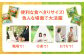 チョコレート チョコ  クッキー ビスケット きのこの山 たけのこの里 詰め合わせ 食べ比べ 大容量小分け 個包装 明治
