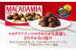 お菓子 おかし デザート チョコレート チョコ マカダミア マカダミアチョコレート ナッツ業務用 大容量個包装 小分け シェア