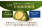 お菓子 菓子 おかし デザート チョコレート マカダミア マカダミアチョコレート ナッツ 抹茶 抹茶チョコレート 大容量