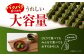 お菓子 菓子 おかし デザート チョコレート マカダミア マカダミアチョコレート ナッツ 抹茶 抹茶チョコレート 大容量