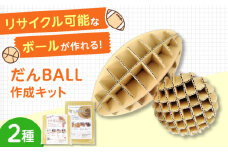 作って遊んで楽しい「だんＢＡＬＬ」＆「ラグだんＢＡＬＬ」 段ボール ダンボール ボール おもちゃ 知育玩具 エコ 組立 大阪府高槻市/大阪紙器工業株式会社 [AOBP002]