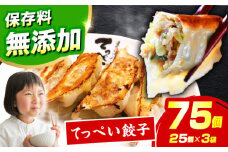 【選べる種類・容量】人気ラーメン店の本気「てっぺい餃子」75個入り(25個×3パック)【保存料無添加】【メディアでも話題:石田てっぺいラーメン店】 餃子 ぎょうざ 惣菜 大容量 業務用 冷凍 国産 餃子 冷凍餃子 ぎょうざ 肉餃子 惣菜 おかず おつまみ 大容量 業務用 簡単 大阪府高槻市/無人屋 [AOCX010]