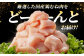 冷凍 小分け ムネ肉 鶏肉 鶏むね肉 国産鶏肉 大容量