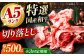 【全3回定期便】国産和牛切落し 500ｇ 冷凍