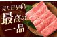 【全6回定期便】国産和牛特上ロースすき焼き用 500ｇ 冷凍