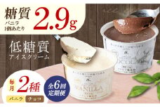 【全6回定期便】然オリジナル バニラアイスクリーム・チョコレートアイスクリーム 各3個 スイーツ デザート アイス アイスクリーム チョコ スイーツ デザート アイス アイスクリーム バニラアイス 低糖質 大阪府高槻市/低糖質食専門店ローカーボキッチン然-zen- [AOBD039]