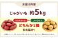 新鮮！ほくほく！ じゃがいも 5kg　メークイン　レッドムーン （5月下旬から6月頃発送予定） 