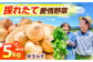新鮮！しゃきしゃき！ 新玉ねぎ 5kg 七宝早生 （5月から6月頃発送予定） 