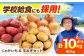 毎日の食卓の味方！玉ねぎ 5kg じゃがいも 5kg 常備野菜セット メークイン レッドムーン （5月下旬から6月頃発送予定)