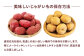 毎日の食卓の味方！玉ねぎ 5kg じゃがいも 5kg 常備野菜セット メークイン レッドムーン （5月下旬から6月頃発送予定)