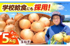 新鮮！しゃきしゃき！ 玉ねぎ 5kg （7月以降発送予定） 大阪府高槻市/高槻あぐり [AOCS027] 新鮮 野菜 やさい 産地直送 産直 旬 人気 お取り寄せ 野菜詰め合わせ 野菜セット たまねぎ 玉ねぎ