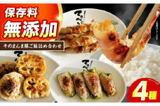 そのまんま昼ご飯詰め合わせ 1〜2人前 惣菜 おかず 簡単調理 肉 野菜 肉詰め 肉巻き 食品 おかず 惣菜 お弁当 冷凍 簡単調理 冷凍 大阪府高槻市/無人屋 [AOCX024]