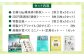 記念乗車券 記念チケット 一日乗車券 乗車券 切符 硬券 非売品 将棋 