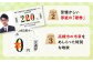 記念乗車券 記念チケット 一日乗車券 乗車券 切符 硬券 非売品 将棋 