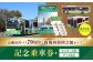 記念乗車券 記念チケット 一日乗車券 乗車券 切符 硬券 非売品 将棋 
