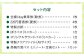 記念乗車券 記念チケット 一日乗車券 乗車券 切符 硬券 非売品 将棋 