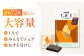 お菓子 おやつ チョコレート チョコ ザ・カカオ カカオ 高カカオ カカオ70％以上 70 以上 70％ 大容量 個包装 