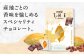 お菓子 おやつ チョコレート チョコ ザ・カカオ カカオ 高カカオ カカオ50％以上 50 以上 50％ 大容量 個包装