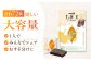 お菓子 おやつ チョコレート チョコ ザ・カカオ カカオ 高カカオ カカオ50％以上 50 以上 50％ 大容量 個包装