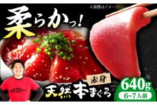 極上！たね熟天然本まぐろ赤身(640g) 天然 マグロ 鮪 赤身 刺身 魚 魚介 魚介類 海鮮丼 本マグロ 本まぐろ 本鮪 赤身 天然鮪 冷凍 お刺身 お寿司 大阪府高槻市/本まぐろ直売所 [AOCE005]