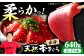 魚介類 海鮮丼 本マグロ 本まぐろ 本鮪 赤身 天然鮪 冷凍 お刺身 お寿司