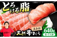 極上！たね熟天然本まぐろ大トロ(640g) 天然 マグロ 鮪 大トロ 刺身 魚 魚介 魚介類 海鮮丼 本マグロ 本まぐろ 本鮪 赤身 大トロ 冷凍 お刺身 お寿司 大阪府高槻市/本まぐろ直売所 [AOCE007]