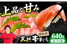 極上！たね熟天然本まぐろ中トロ(640g) 天然 マグロ 鮪 中トロ 刺身 魚 魚介 魚介類 海鮮丼 本マグロ 本まぐろ 本鮪 中とろ 中トロ 冷凍 お刺身 お寿司 大阪府高槻市/本まぐろ直売所 [AOCE010]