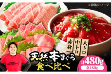 極上！たね熟天然本まぐろ赤身＆中トロ＆大トロセット(各160g 計480g) 魚介類 海鮮丼 本マグロ 本まぐろ 中トロ 大トロ 赤身 冷凍 お刺身 お寿司 大阪府高槻市/本まぐろ直売所 [AOCE012]