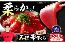 【全6回定期便】極上！たね熟天然本まぐろ赤身(320g) 天然 マグロ 鮪 赤身 刺身 魚 魚介 魚介類 海鮮丼 本マグロ 本まぐろ 本鮪 赤身 大トロ 冷凍 お刺身 お寿司 大阪府高槻市/本まぐろ直売所 [AOCE014]