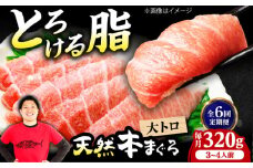 【全6回定期便】極上！たね熟天然本まぐろ大トロ(320g) 天然 マグロ 鮪 大トロ 刺身 魚 魚介 魚介類 海鮮丼 本マグロ 本まぐろ 本鮪 赤身 大トロ 冷凍 お刺身 お寿司 大阪府高槻市/本まぐろ直売所 [AOCE023]