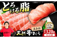 【全12回定期便】極上！たね熟天然本まぐろ大トロ(320g) 天然 マグロ 鮪 大トロ 刺身 魚 魚介 魚介類 海鮮丼 本マグロ 本まぐろ 本鮪 赤身 大トロ 冷凍 お刺身 お寿司 大阪府高槻市/本まぐろ直売所 [AOCE024]