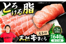 【全3回定期便】極上！たね熟天然本まぐろ大トロ(640g) 天然 マグロ 鮪 大トロ 刺身 魚 魚介 魚介類 海鮮丼 本マグロ 本まぐろ 本鮪 赤身 大トロ 冷凍 お刺身 お寿司 大阪府高槻市/本まぐろ直売所 [AOCE025]
