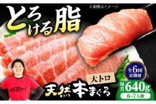 【全6回定期便】極上！たね熟天然本まぐろ大トロ(640g) 天然 マグロ 鮪 大トロ 刺身 魚 魚介 魚介類 海鮮丼 本マグロ 本まぐろ 本鮪 赤身 大トロ 冷凍 お刺身 お寿司 大阪府高槻市/本まぐろ直売所 [AOCE026]