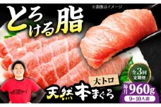 【全3回定期便】極上！たね熟天然本まぐろ大トロ(960g) 天然 マグロ 鮪 大トロ 刺身 魚 魚介 魚介類 海鮮丼 本マグロ 本まぐろ 本鮪 赤身 大トロ 冷凍 お刺身 お寿司 大阪府高槻市/本まぐろ直売所 [AOCE028]